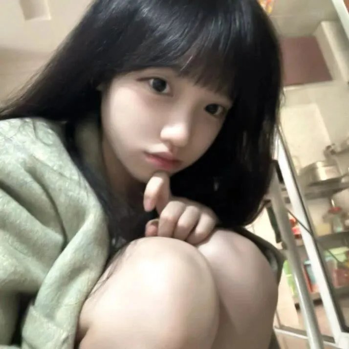 彩凤朝阳